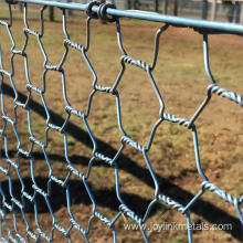 Stainless steel chicken wire